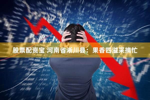 股票配资宝 河南省淅川县：果香四溢采摘忙