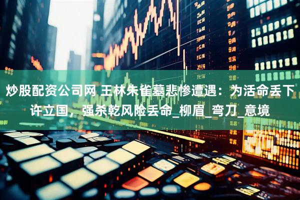 炒股配资公司网 王林朱雀墓悲惨遭遇：为活命丢下许立国，强杀乾风险丢命_柳眉_弯刀_意境