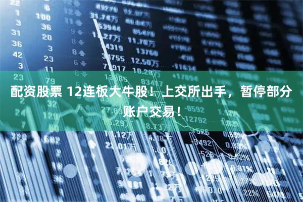 配资股票 12连板大牛股！上交所出手，暂停部分账户交易！