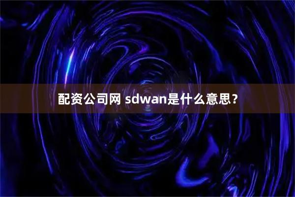 配资公司网 sdwan是什么意思？