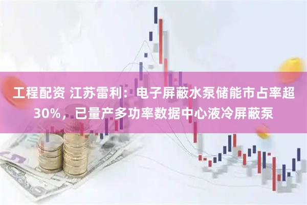 工程配资 江苏雷利：电子屏蔽水泵储能市占率超30%，已量产多功率数据中心液冷屏蔽泵