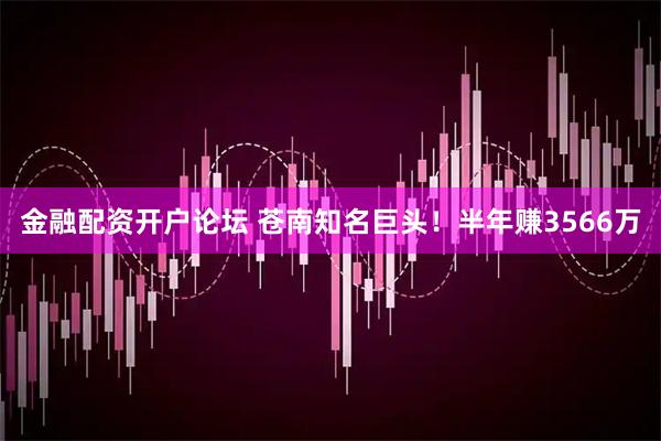 金融配资开户论坛 苍南知名巨头！半年赚3566万